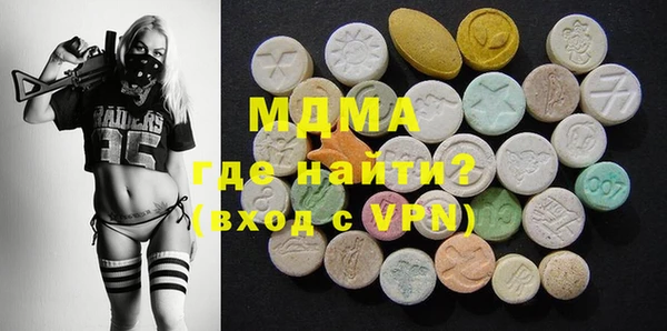 индика Каменка