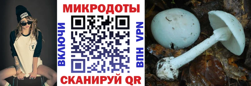 Галлюциногенные грибы Magic Shrooms  Староминская 